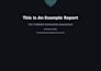 perform a professional website vulnerability assessment and security repo